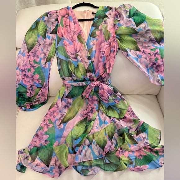 Alex Marie Floral Dress crinkle chiffon v-neckline Long sleeves Size 6 - Picture 4 of 12